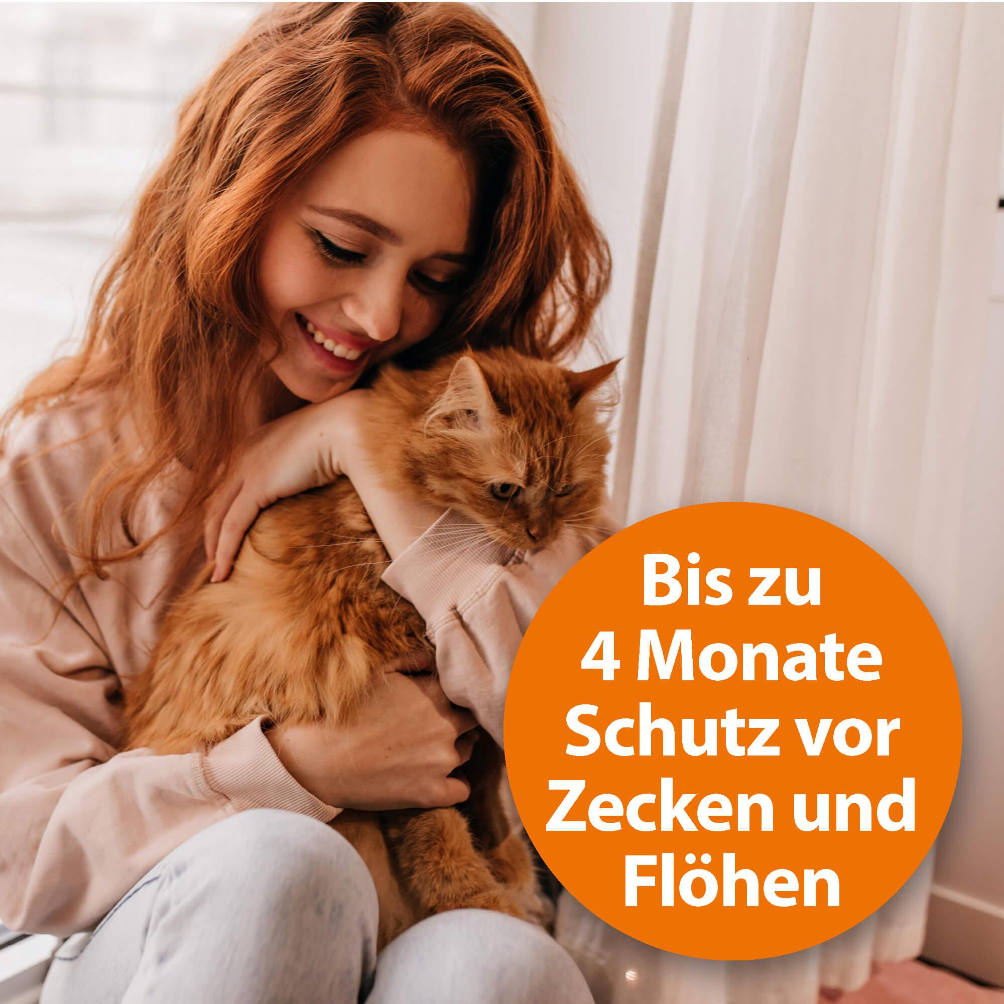ardap-repell-zecken-flohhalsband-katze-pyrethrum-4-monate image 2