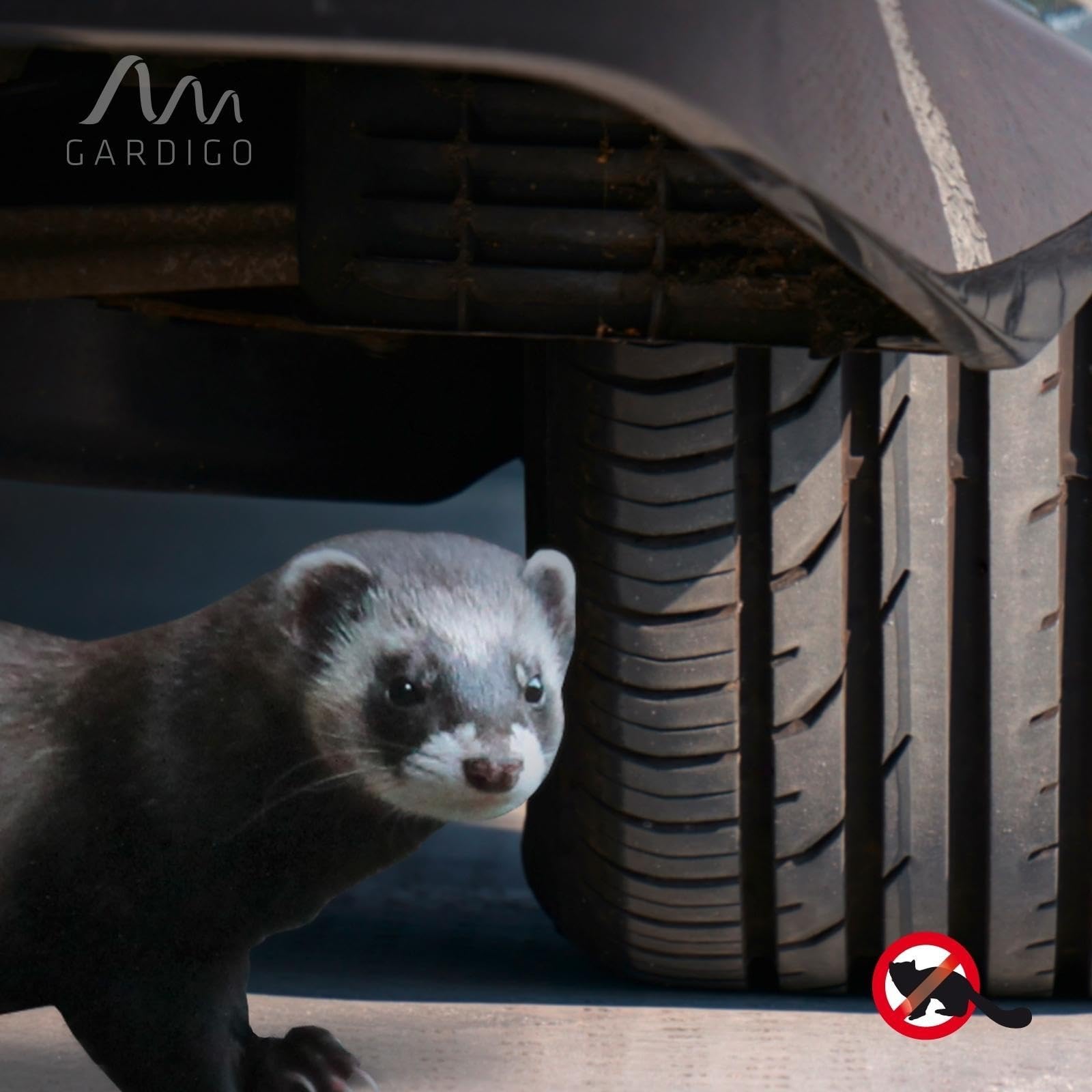 gardigo-marder-schock-marderschreck-auto-mit-stromschlag image 5