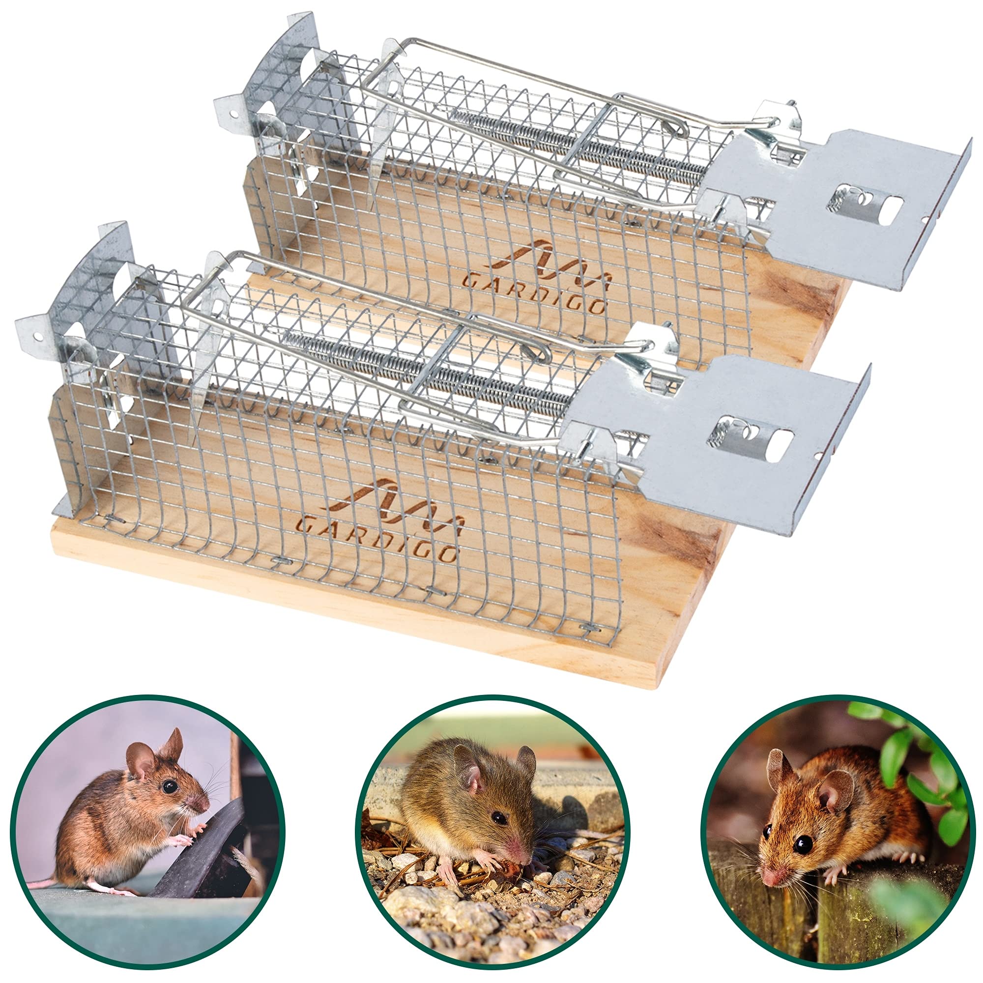 gardigo-m-use-feind-lebendfalle-holz-2er-set-k-figfalle image 2