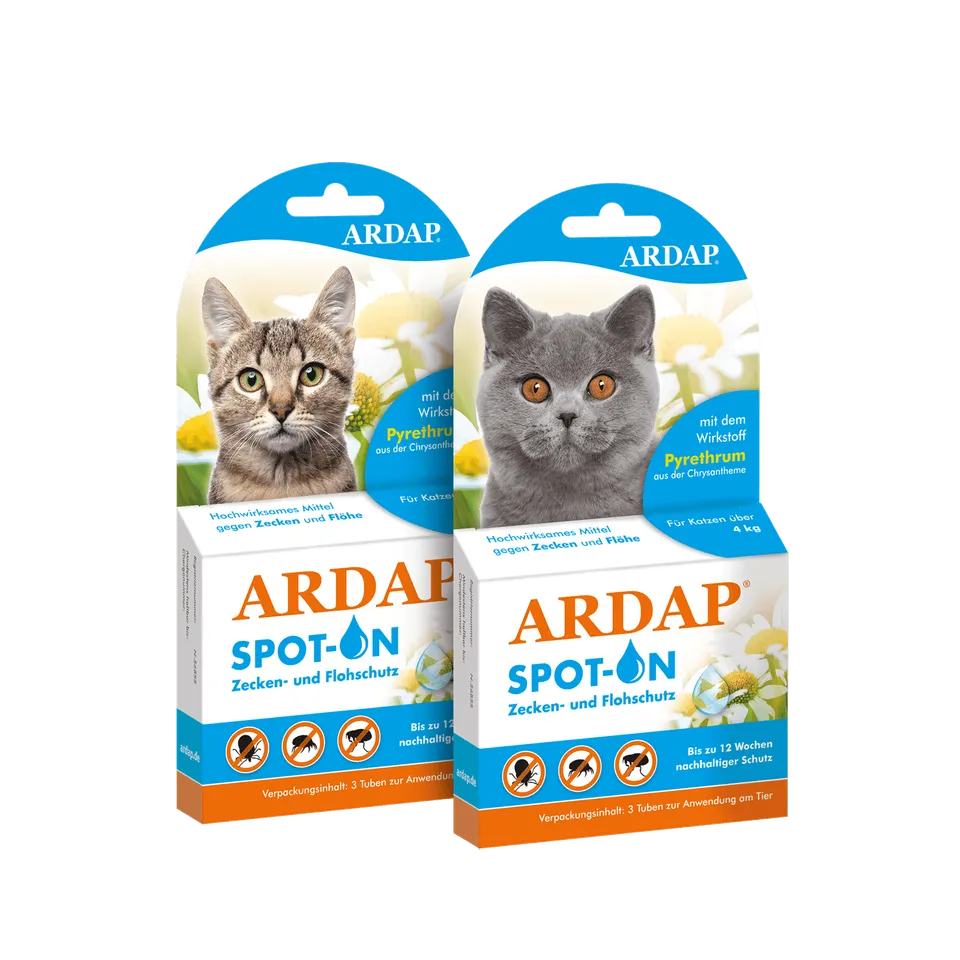 ardap-spot-on-f-r-katzen-3-tuben-bis-12-wochen-schutz image 1