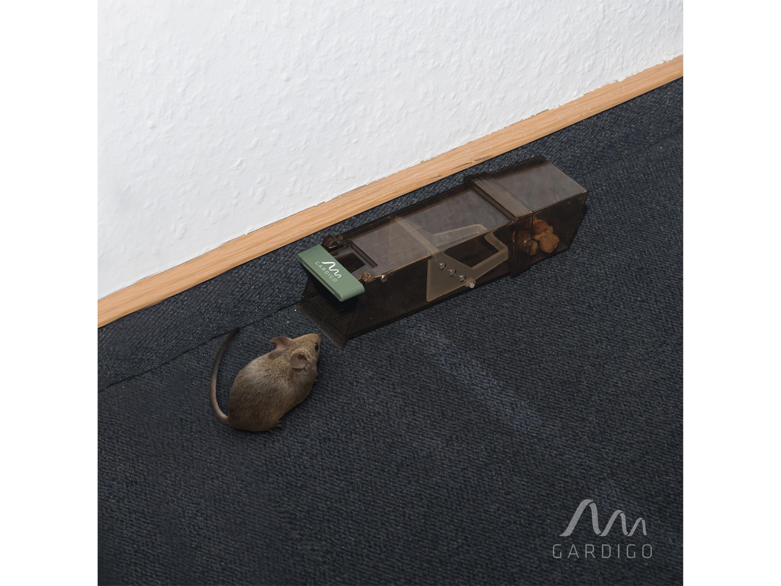 gardigo-m-use-feind-maus-lebendfalle-transparent-kunststoff image 4