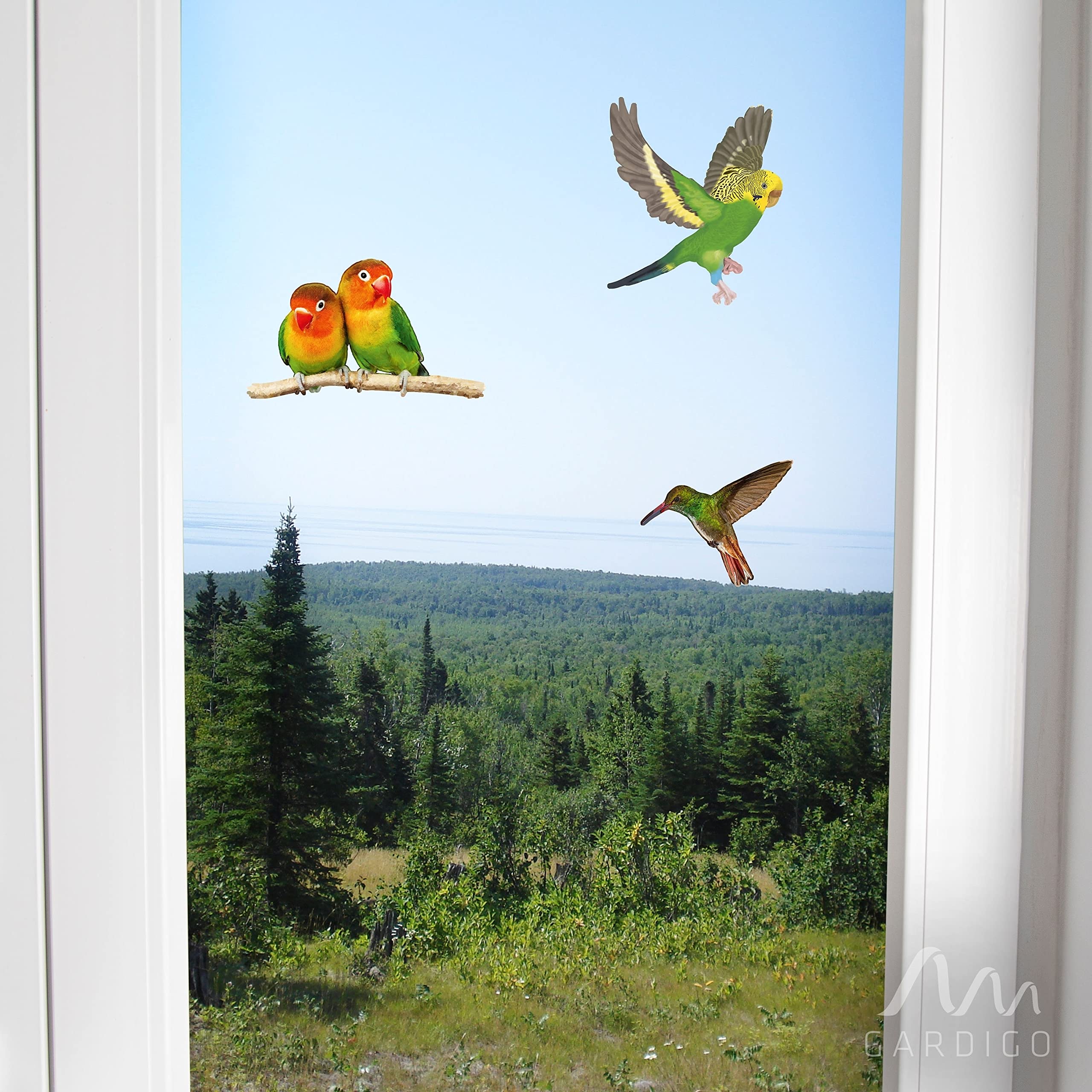 gardigo-vogel-frei-vogelschutz-aufkleber-fenster-5-st-ck-bunt image 7