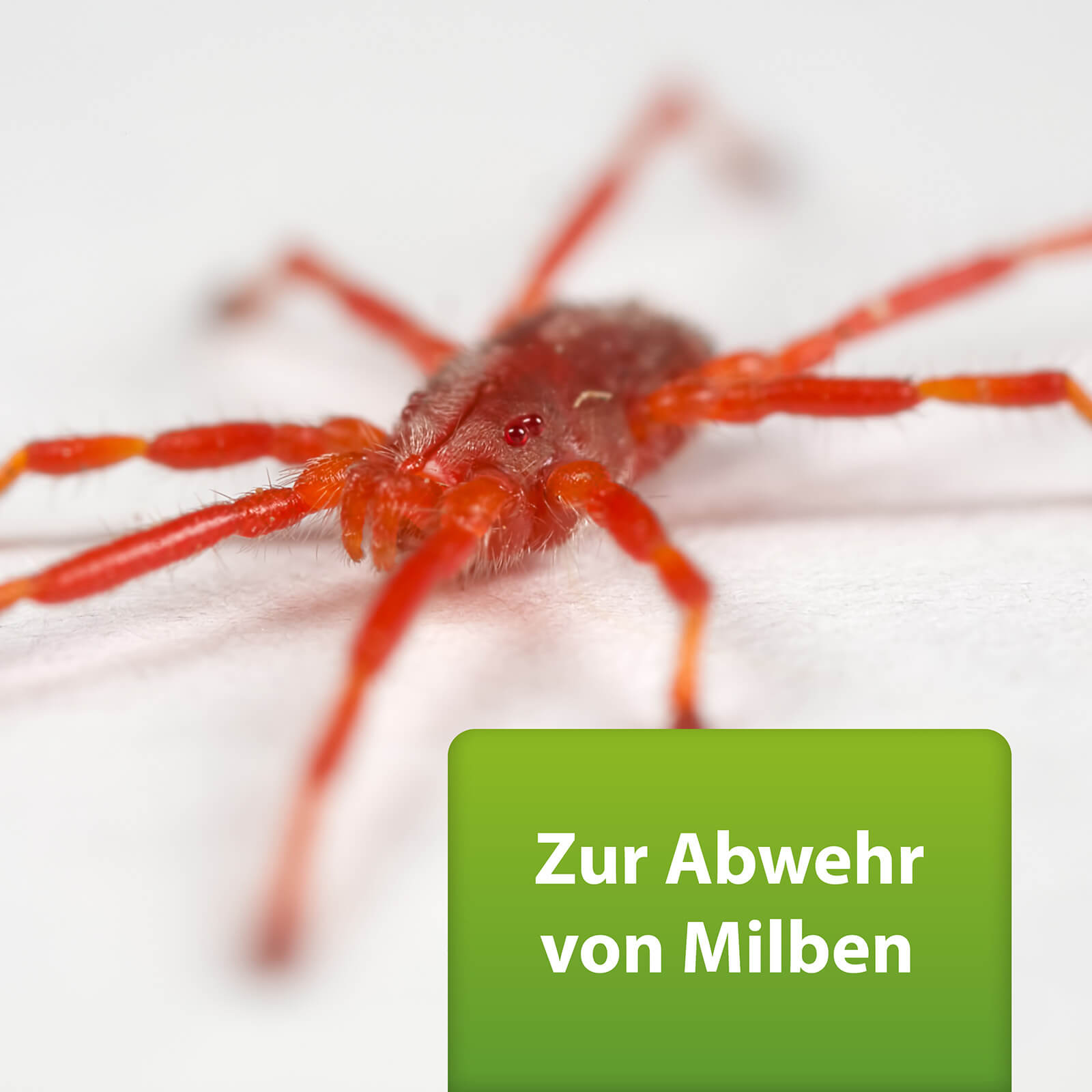 ardap-repell-milbenspray-400-ml-f-r-h-hnerhaltung image 3