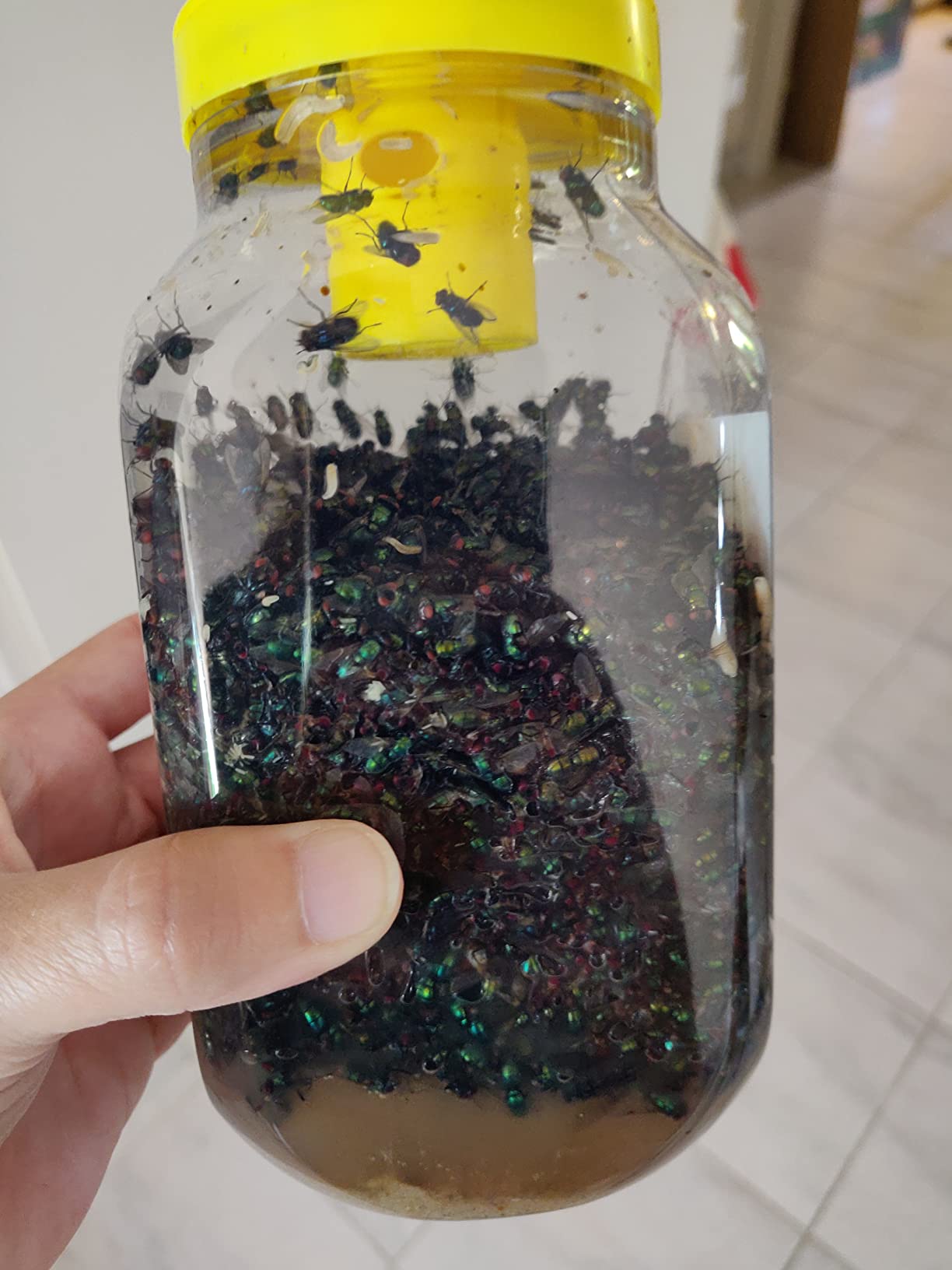 Praktisch