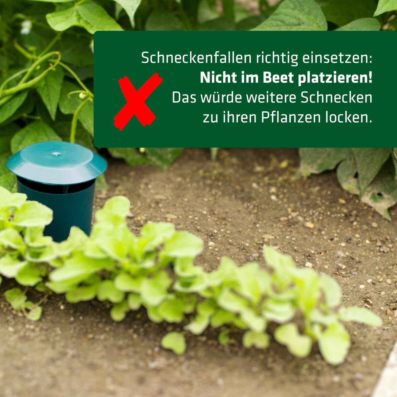 gardigo-m-use-feind-schneckenfalle-12er-set-ohne-gift image 3