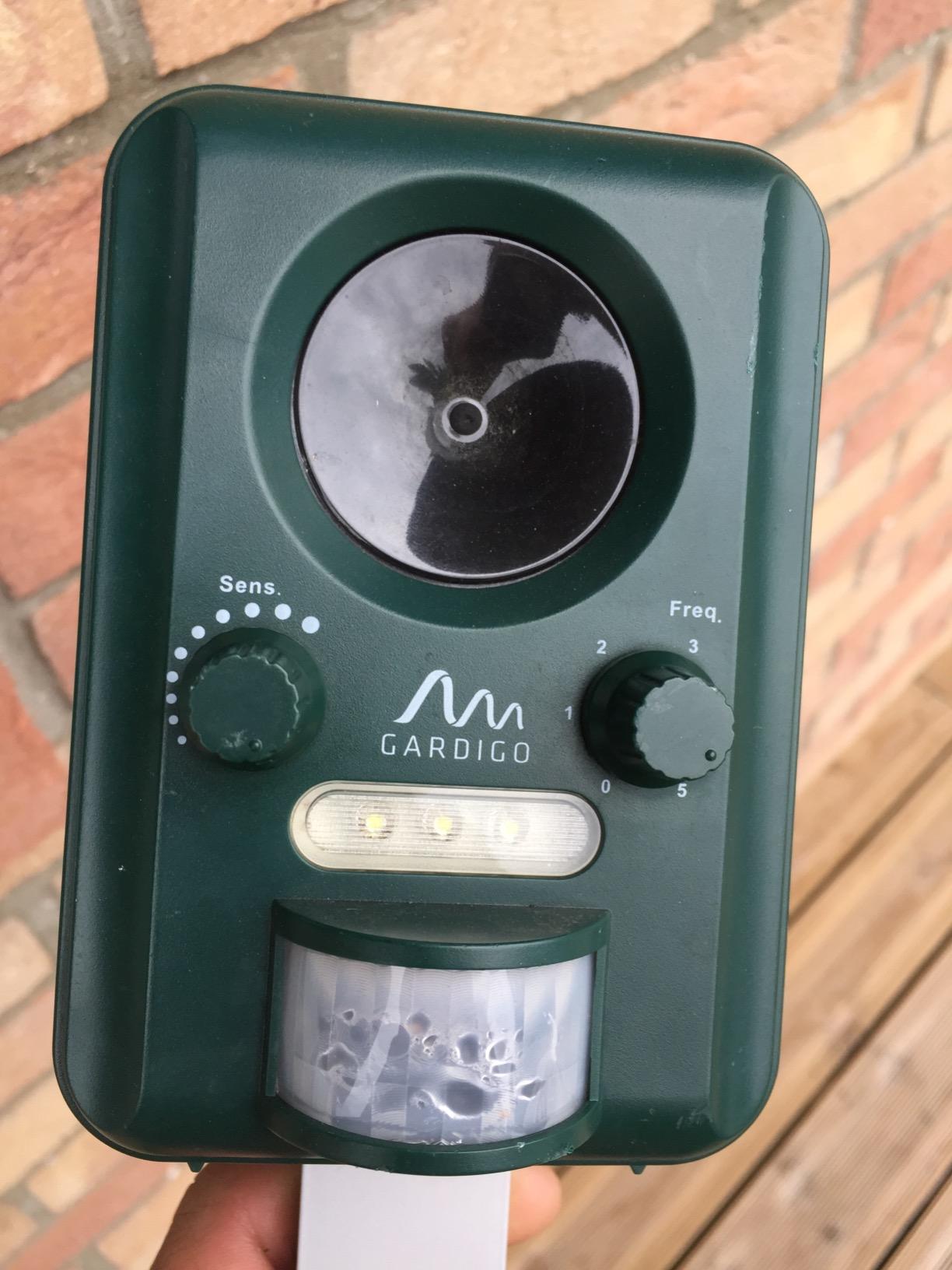 Ruhe im Garten