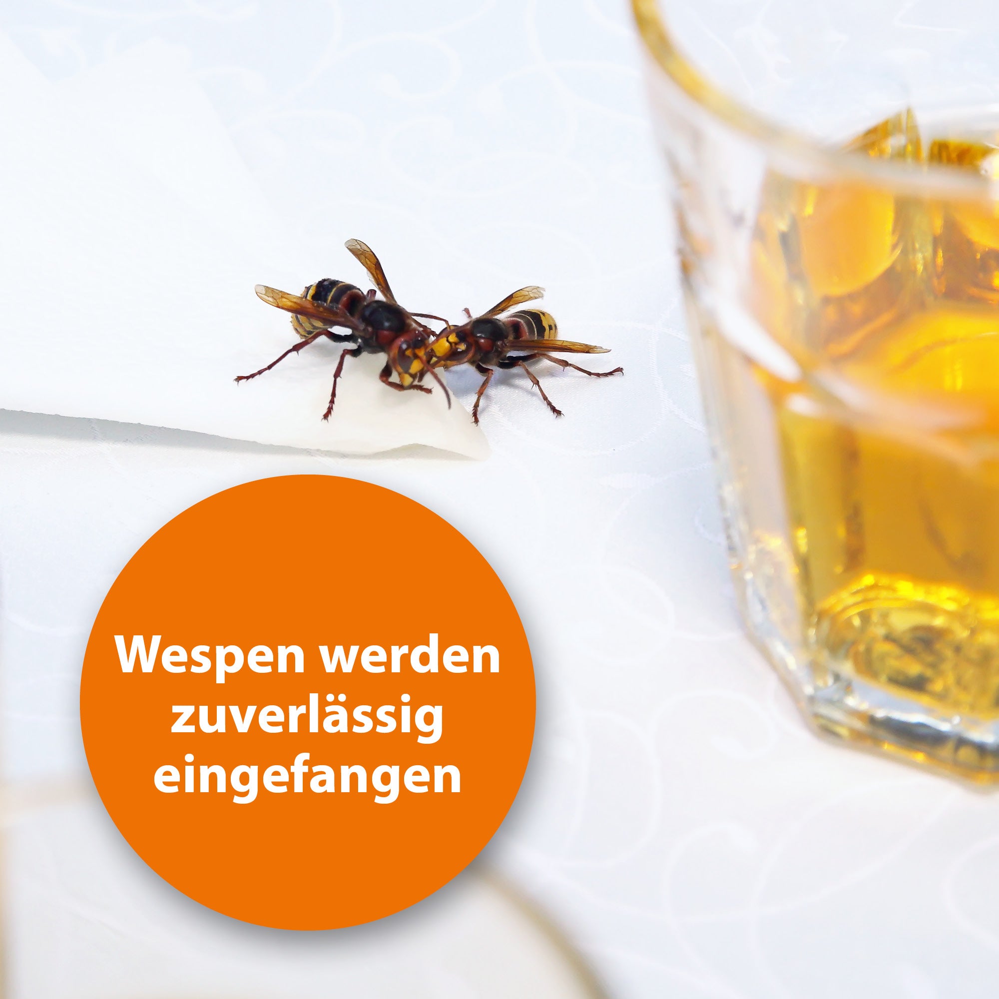 ardap-pro-wespenfalle-nachf-ller-2er-pack-lockstoff image 3