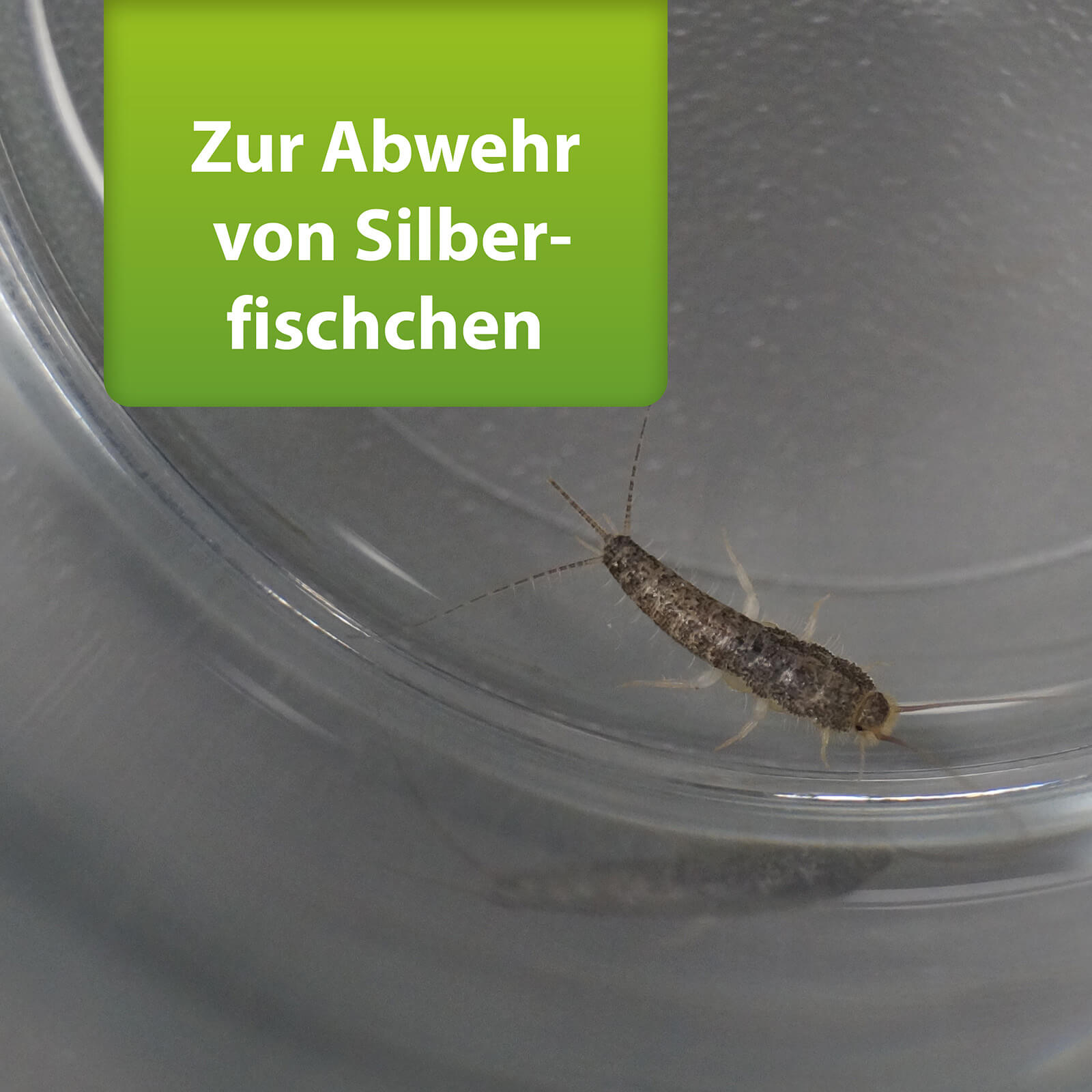 ardap-repell-silberfisch-spray-400-ml-mit-geraniol image 3
