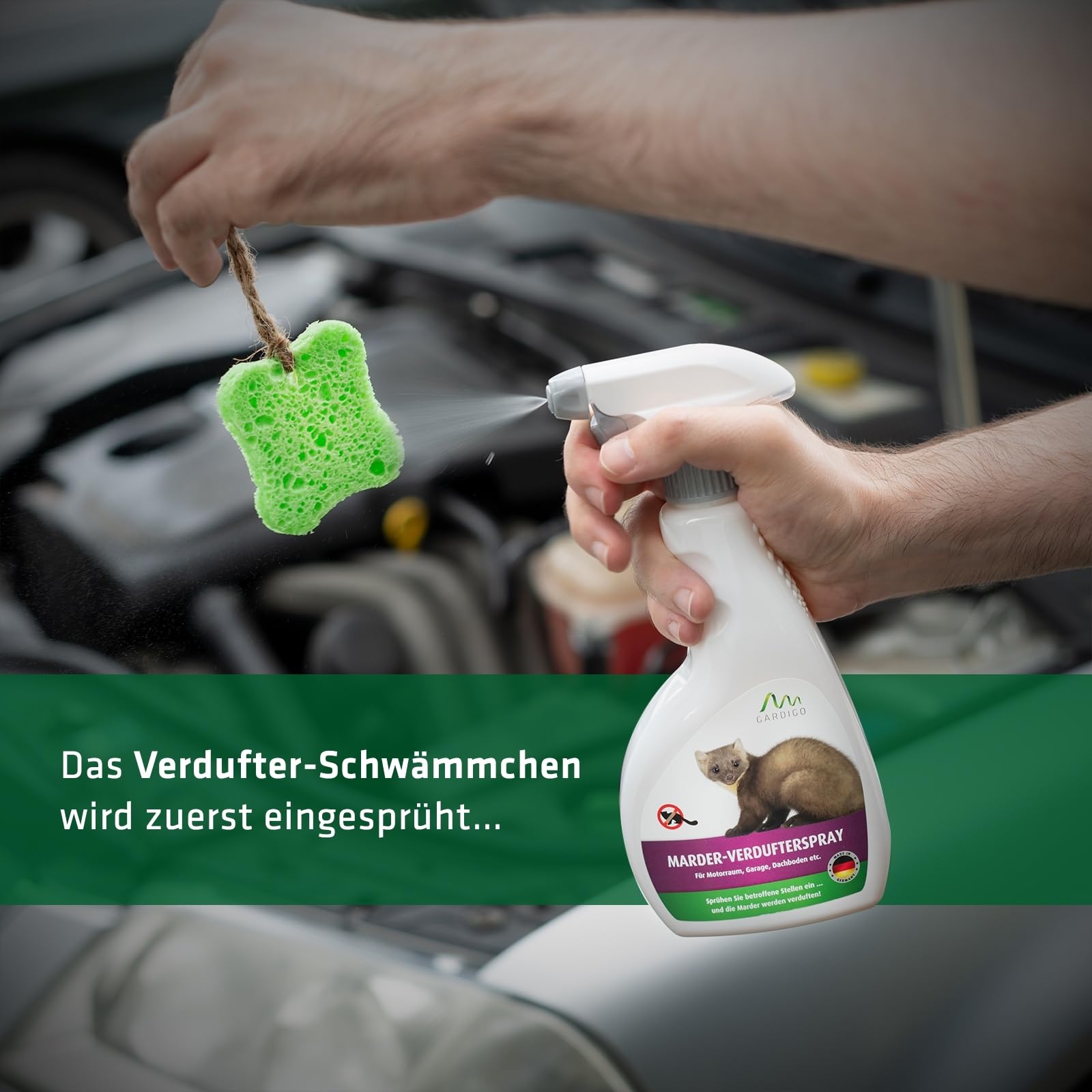 gardigo-marder-frei-marderspray-500-ml-eukalyptus-mit-schwamm image 2