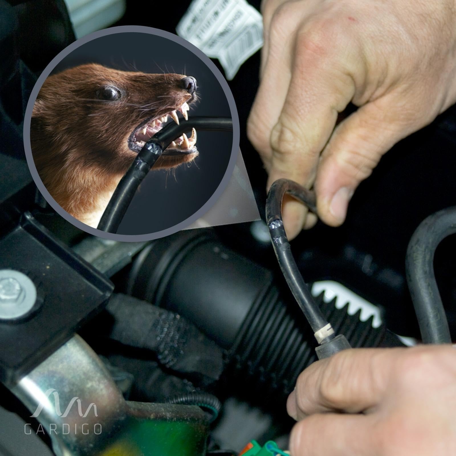 gardigo-marder-schock-marderschreck-auto-mit-stromschlag image 8