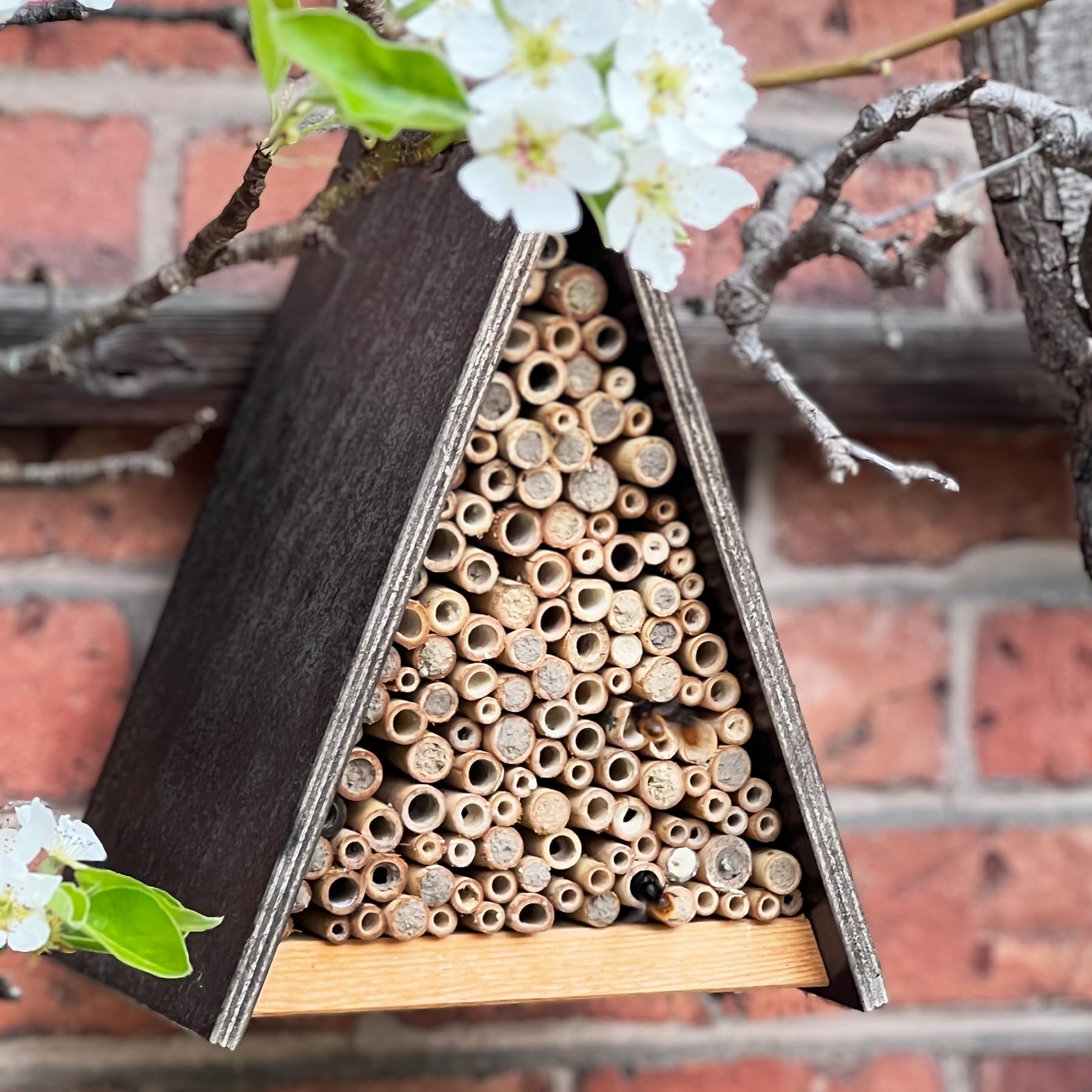gardigo-tier-haus-bienenhotel-insektenhotel-bambus-wetterfest image 3