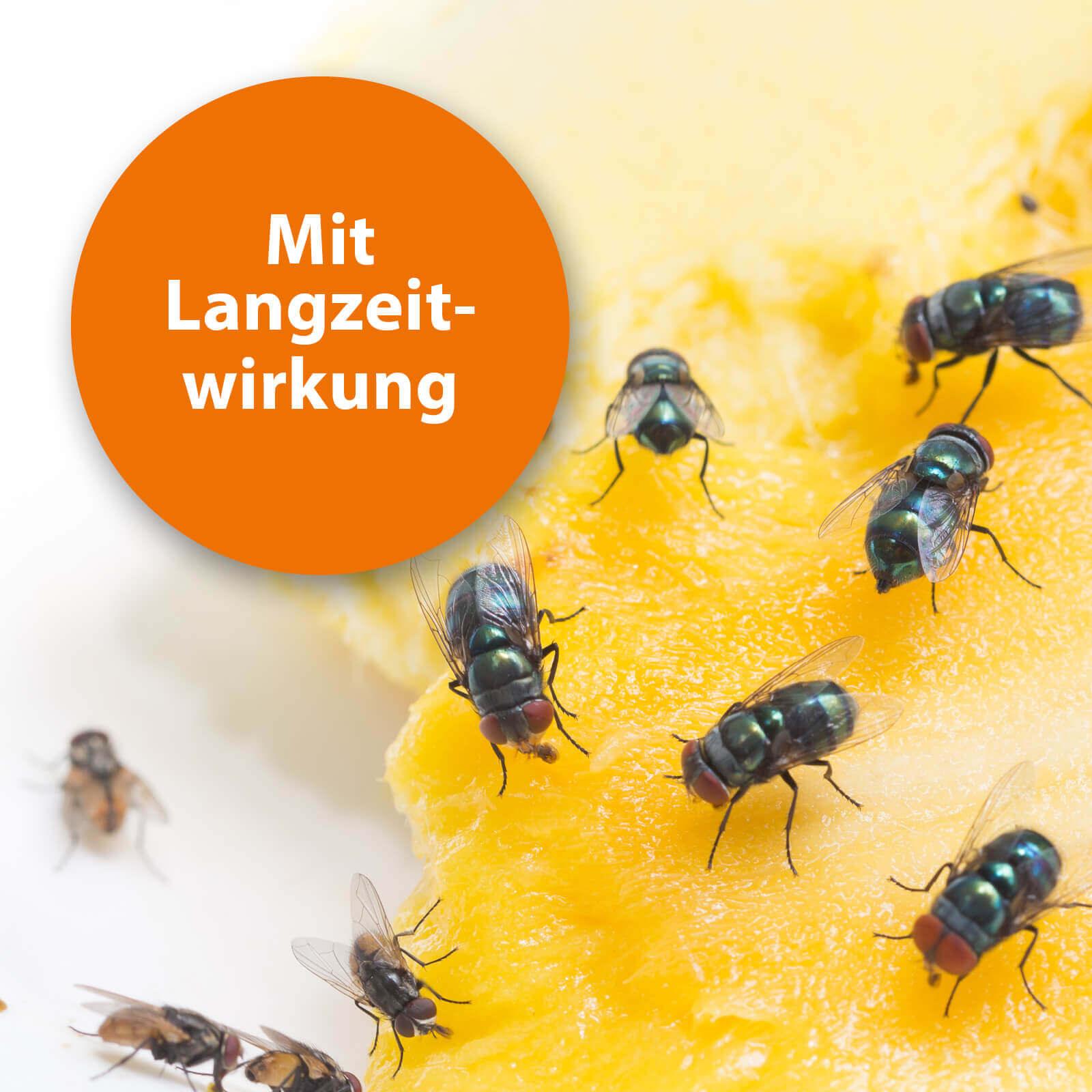 ardap-pro-fliegenfalle-nachf-ller-3er-pack-lockstoff image 4