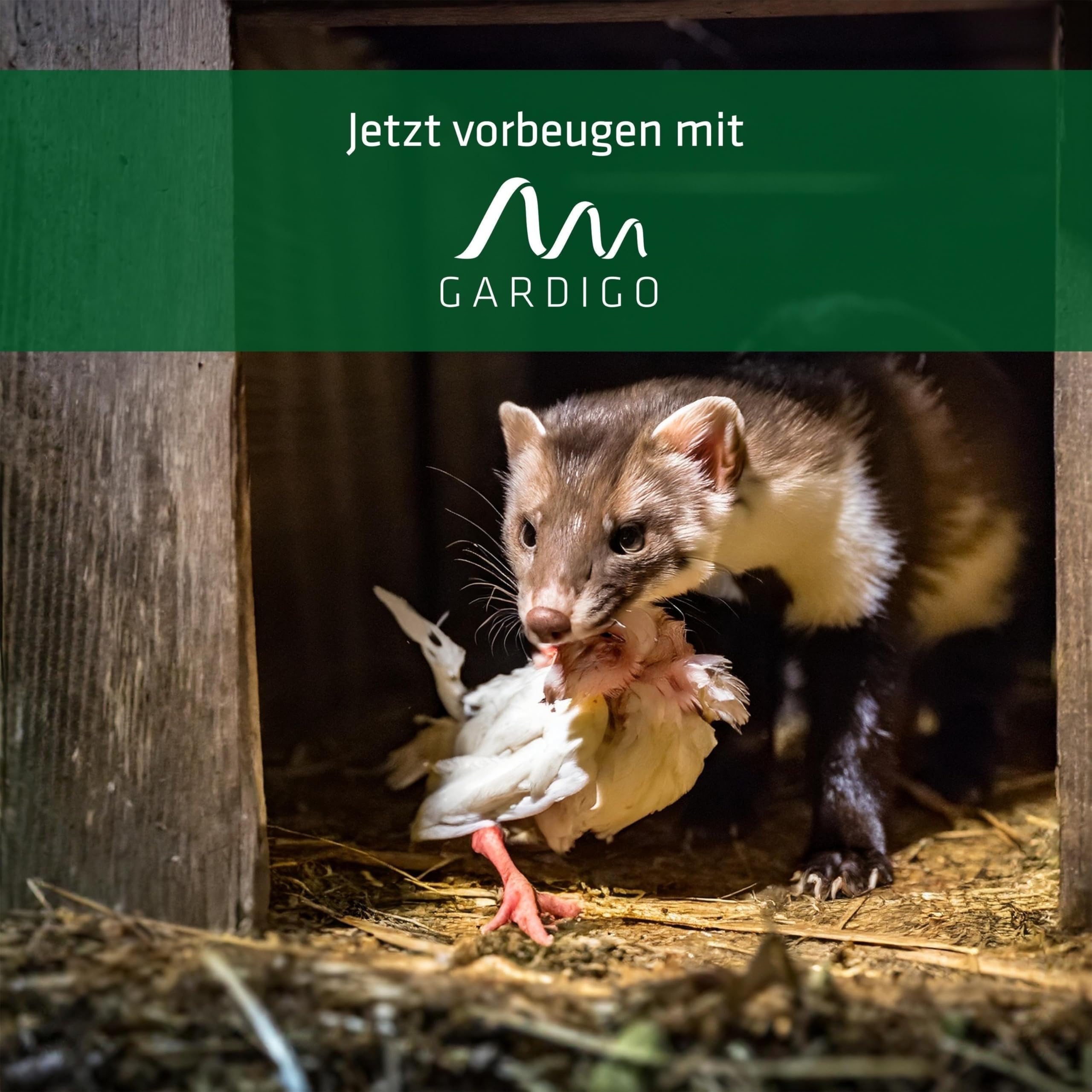 gardigo-vogel-frei-wildtiervertreiber-led-blau-1200-m-erdspie image 7