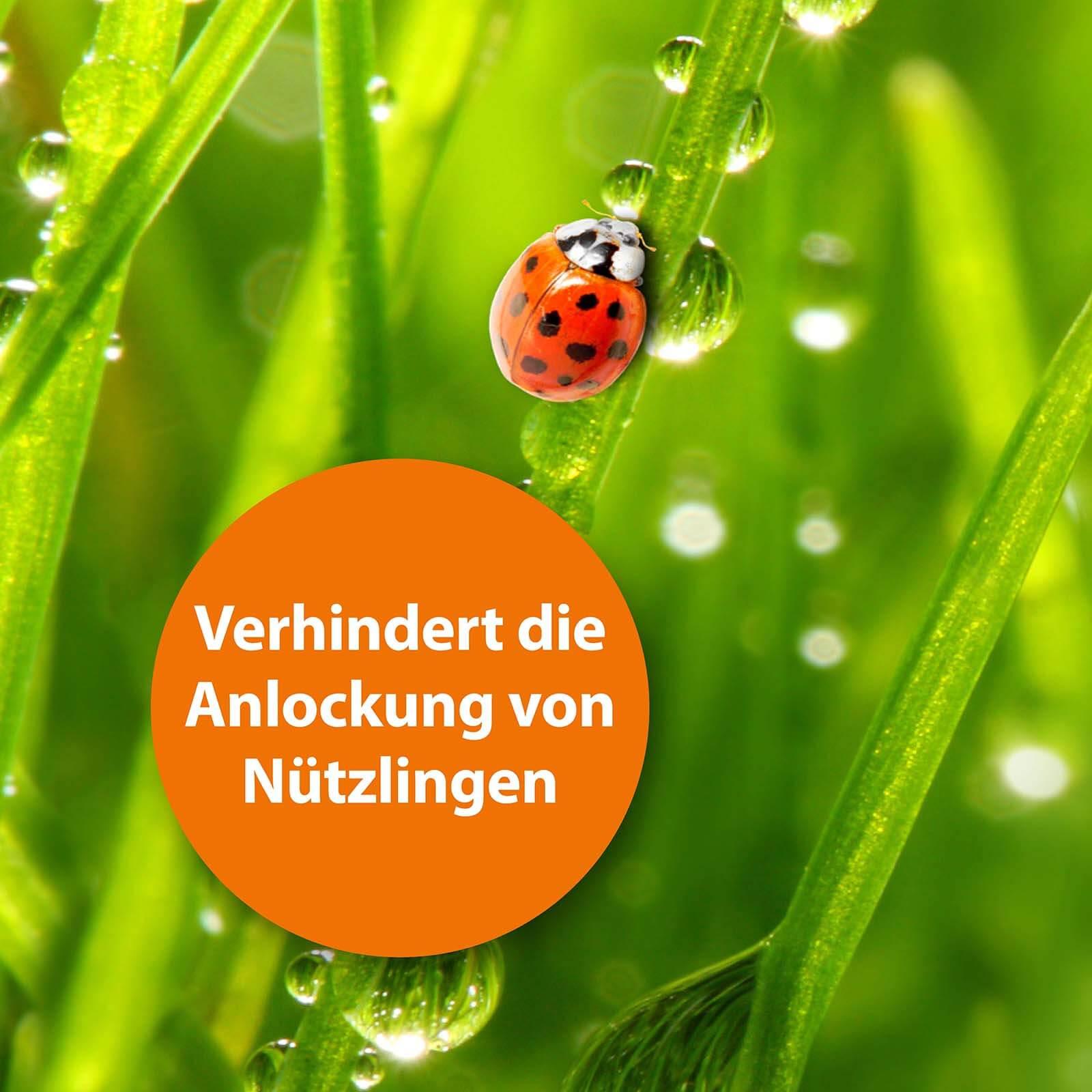 ardap-pro-fliegenfalle-nachf-ller-3er-pack-lockstoff image 5