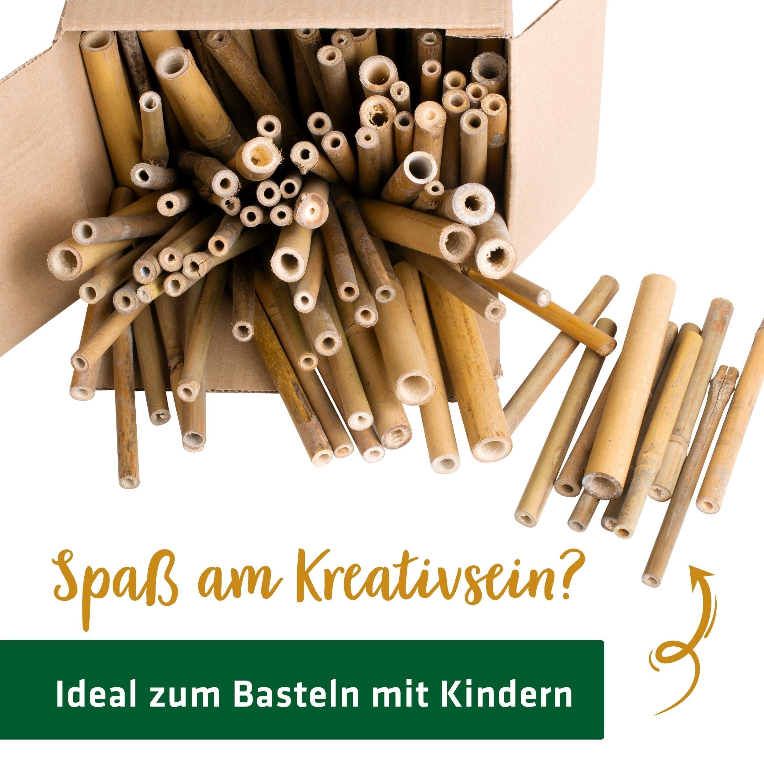 gardigo-gardosi-bambusr-hrchen-insektenhotel-150-st-ck image 5