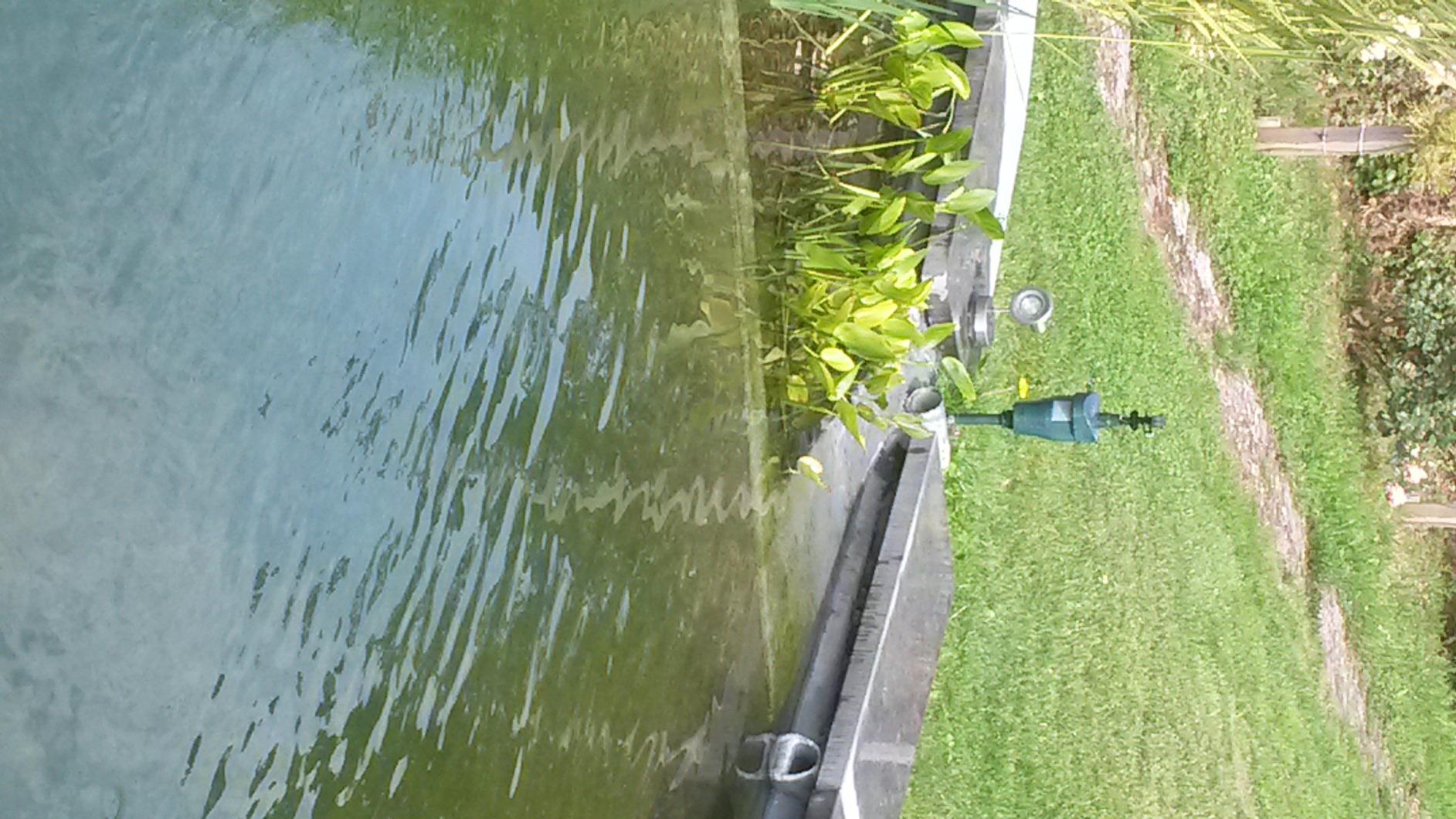 Katzen bleiben weg