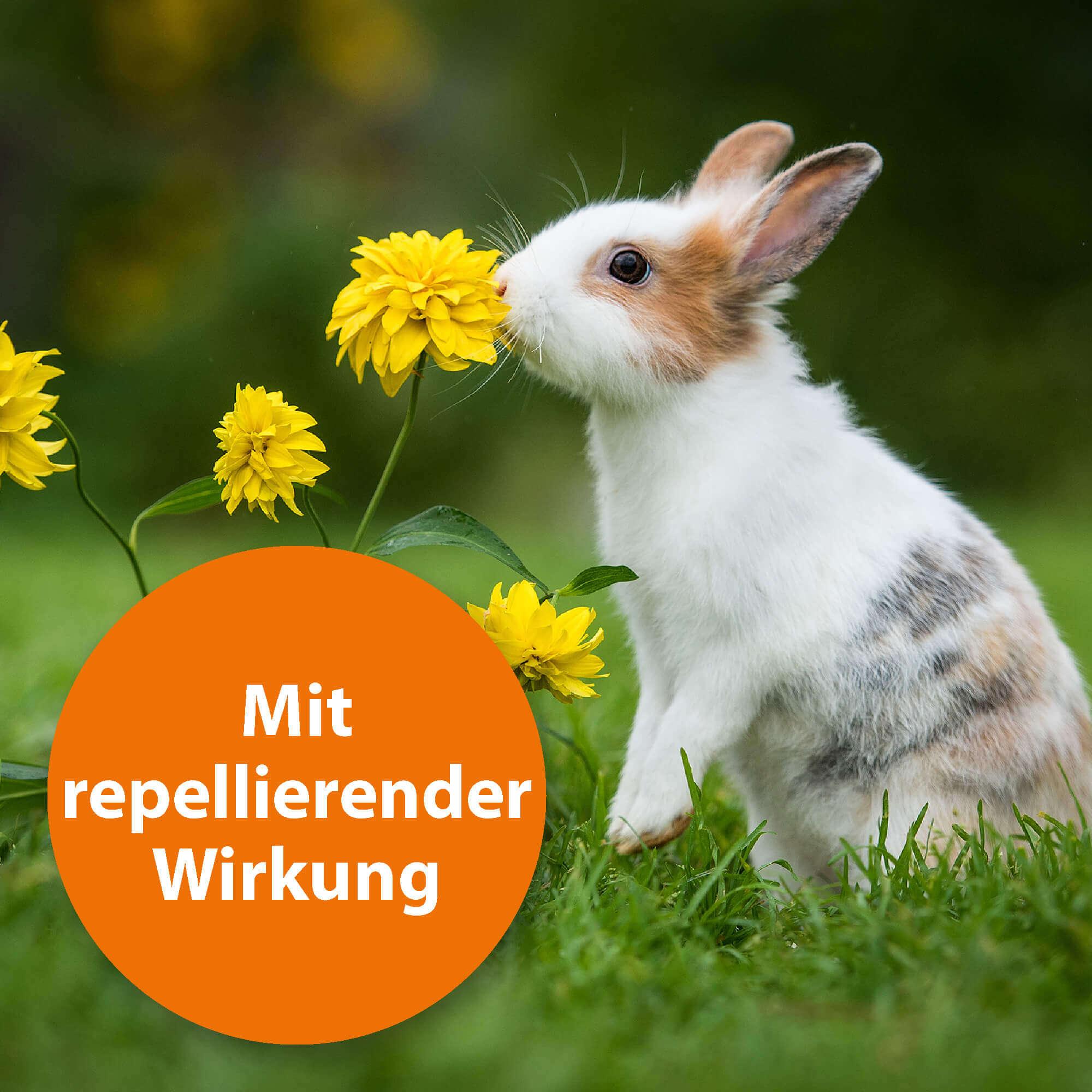 ardap-repell-spot-on-kleintiere-nager-3-tuben-pyrethrum image 3