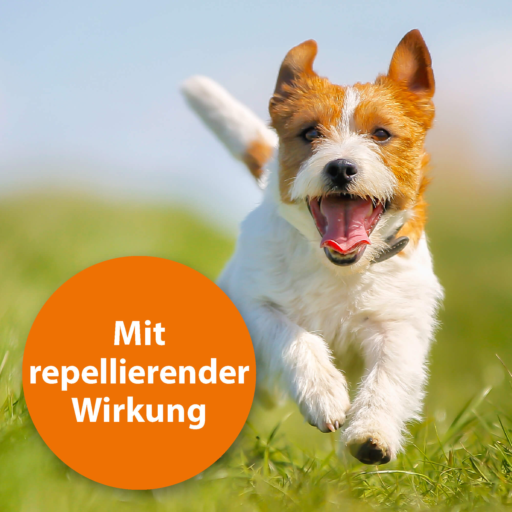 ardap-repell-zecken-und-flohpuder-hund-katze-150-g image 3