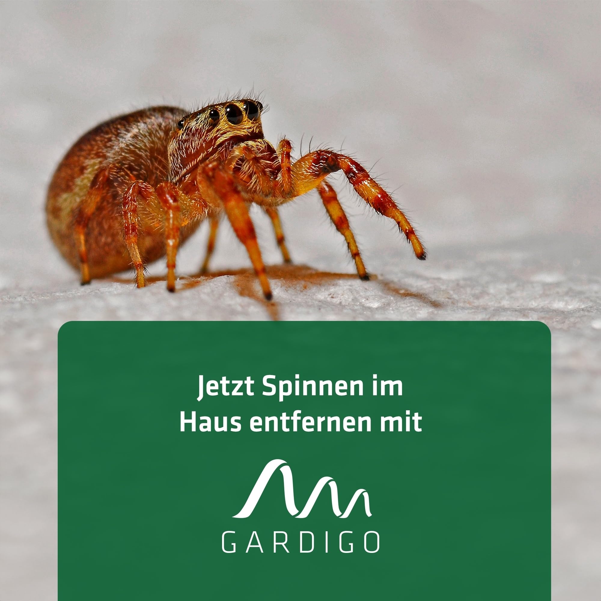 gardigo-m-use-feind-insektenf-nger-xxl-mit-lupe-37cm-spinnenf-nger image 6