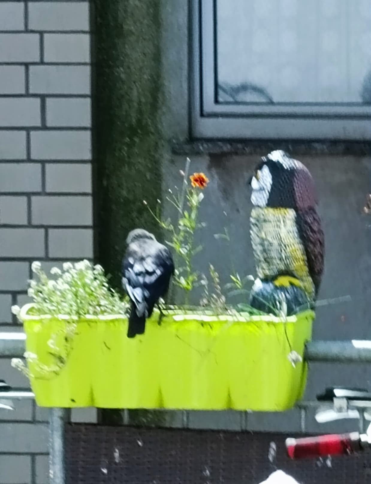 Wirkt ganz gut
