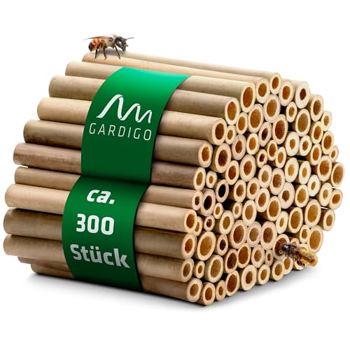 gardigo-gardosi-bambusr-hrchen-300-st-ck-f-r-insektenhotel image 8