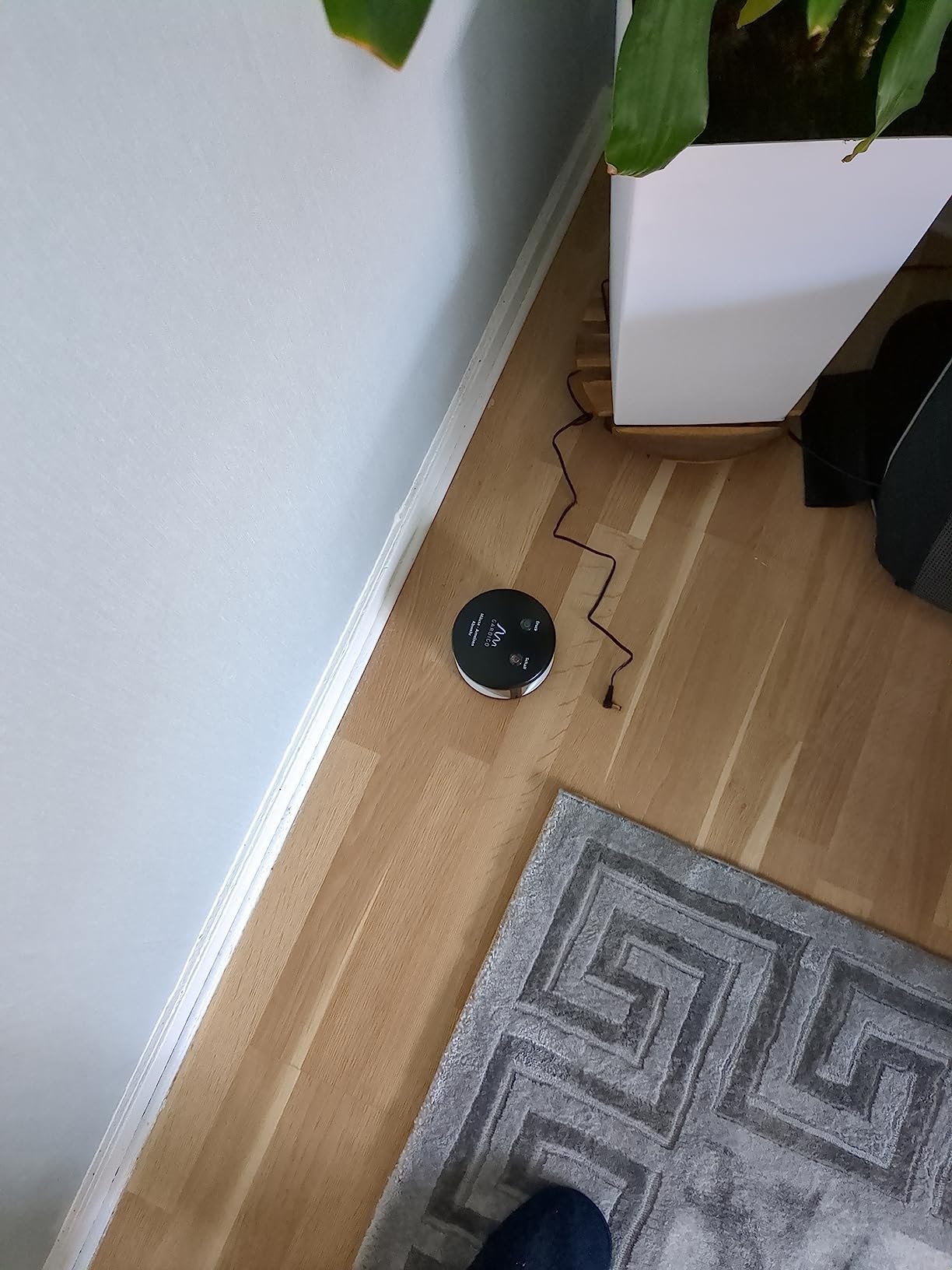 Ruhig im Keller