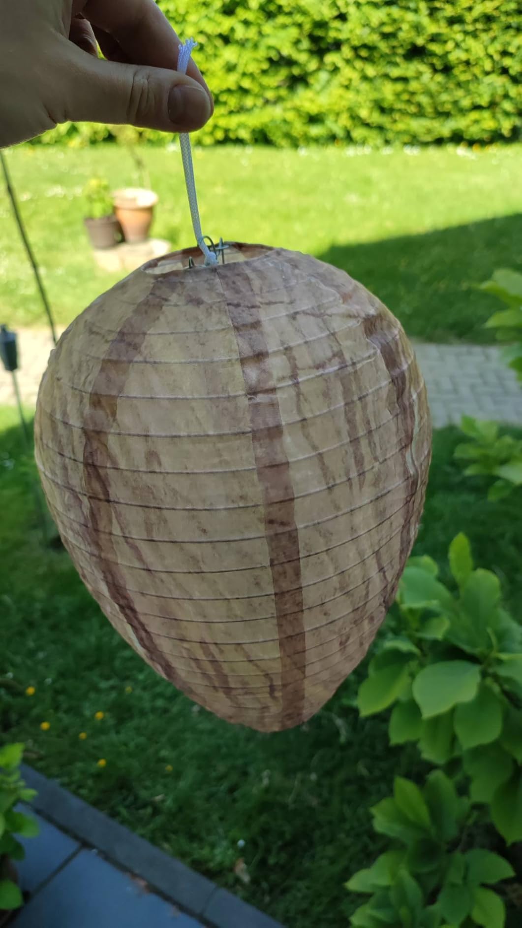 Wetterfest